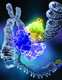 Serving the chemical, life science, and laboratory worlds