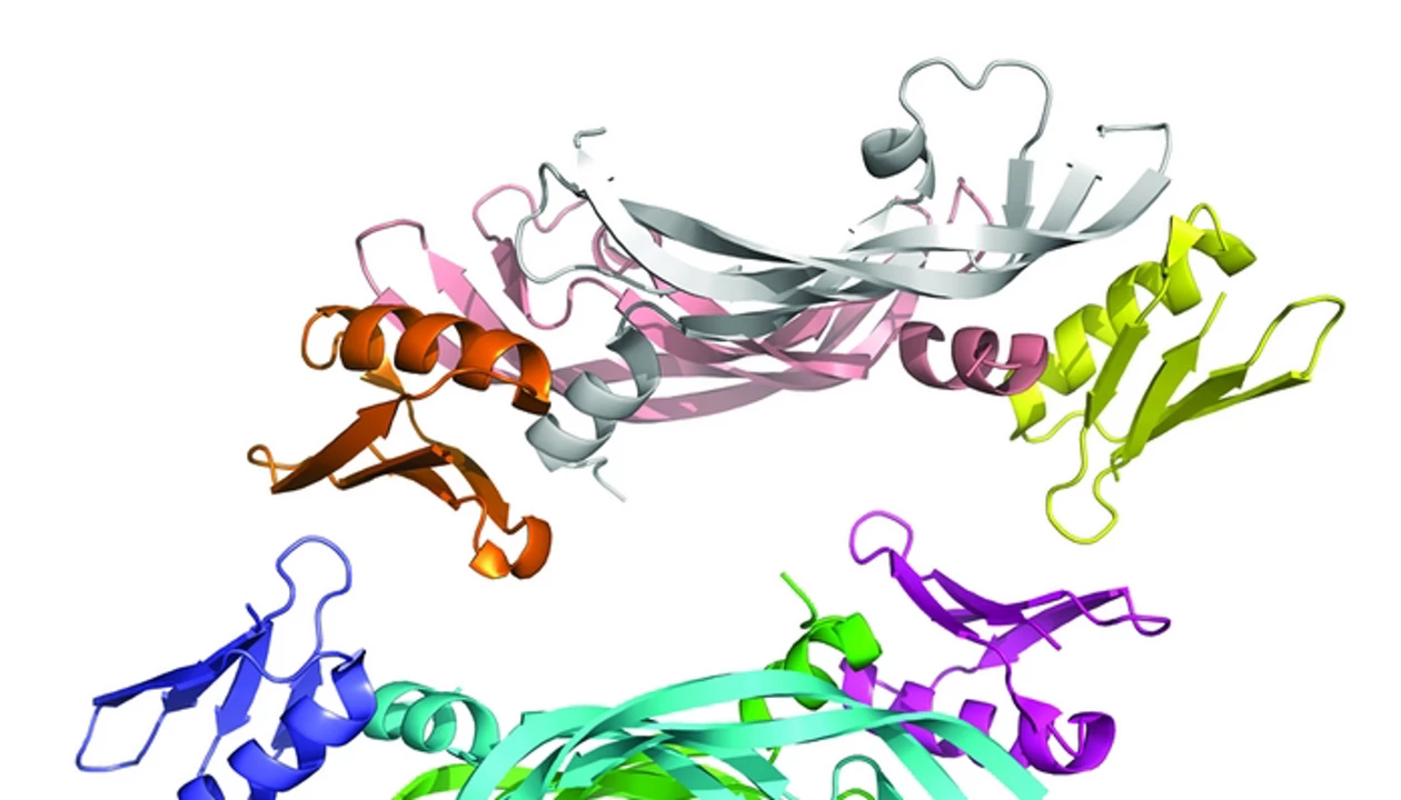 D-Protein Inhibits Key Drug Target