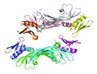 Serving the chemical, life science, and laboratory worlds
