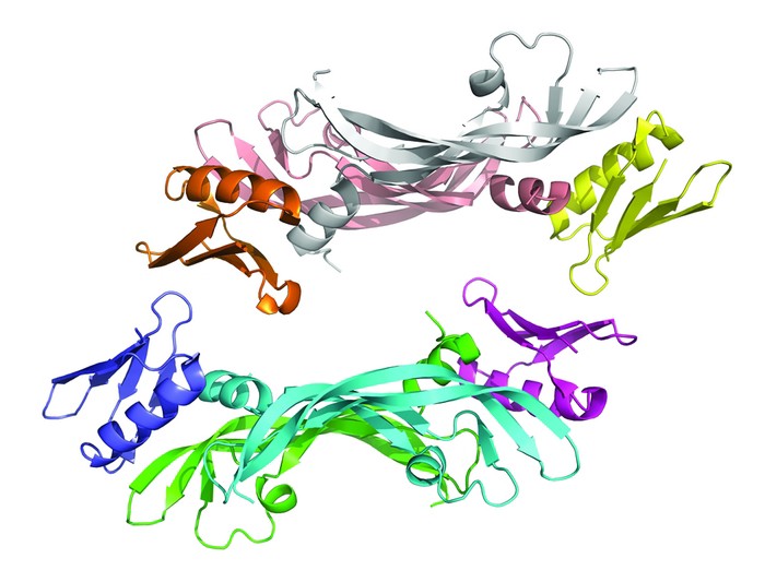 Serving the chemical, life science, and laboratory worlds