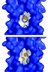 Serving the chemical, life science, and laboratory worlds