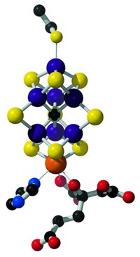 Serving the chemical, life science, and laboratory worlds