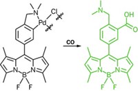 Serving the chemical, life science, and laboratory worlds
