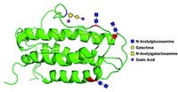 Serving the chemical, life science, and laboratory worlds