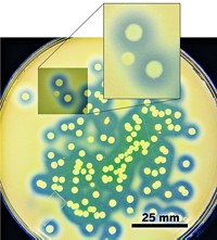 Serving the chemical, life science, and laboratory worlds