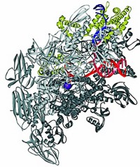 Serving the chemical, life science, and laboratory worlds