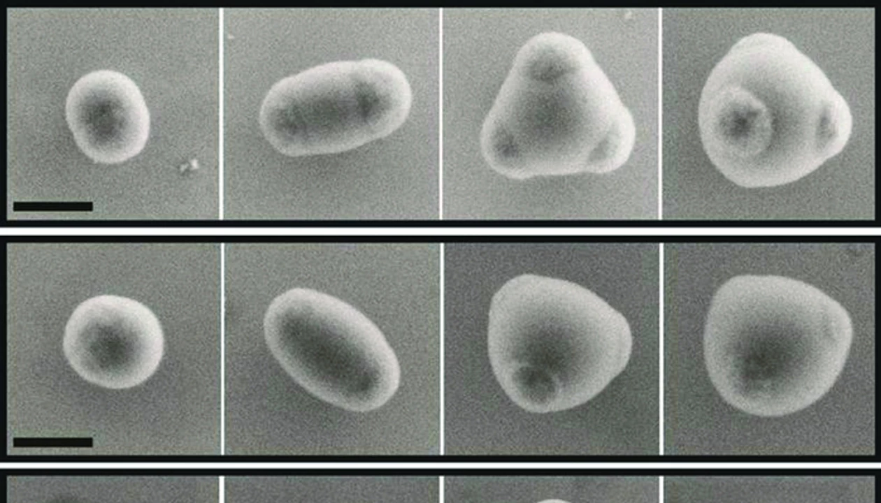 Mimicking Atomic Bonding