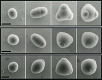 Serving the chemical, life science, and laboratory worlds