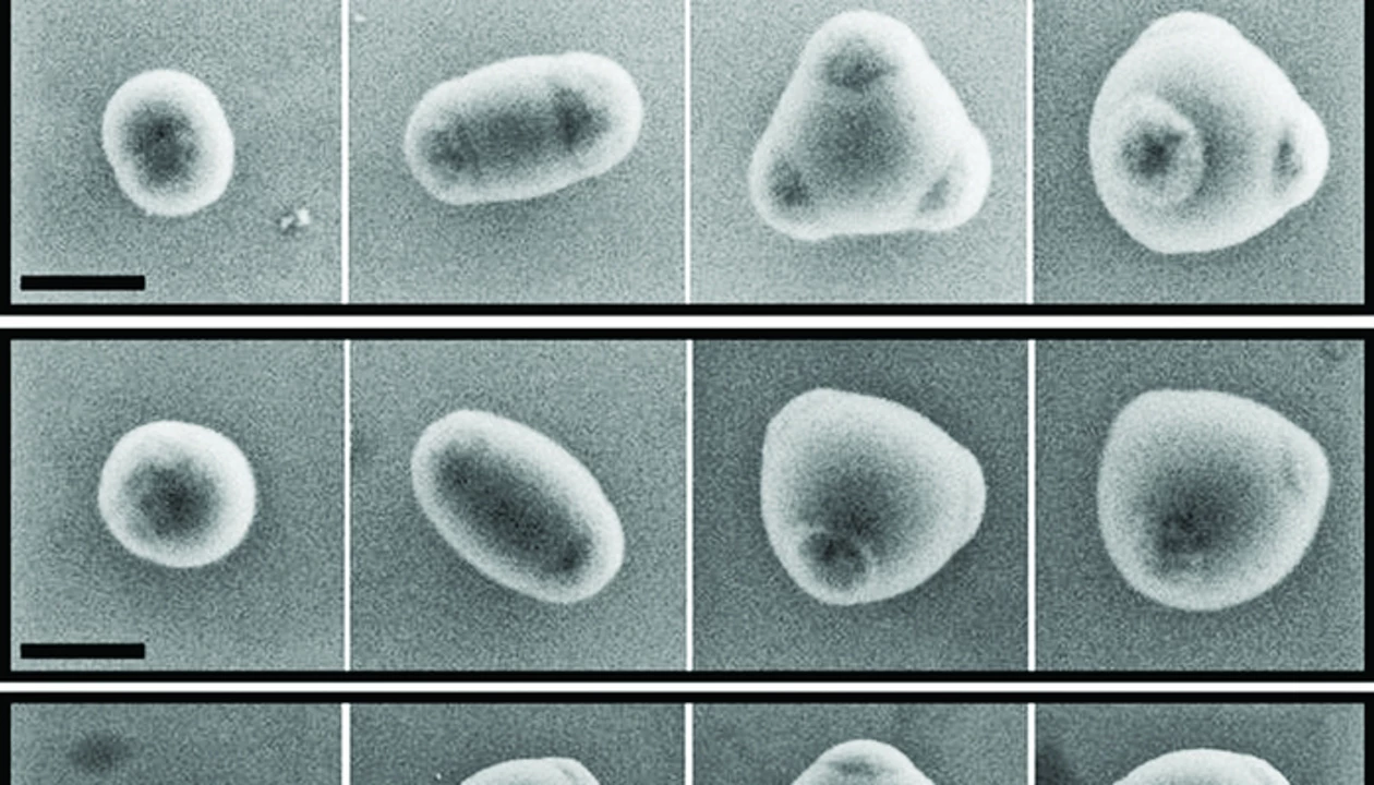 Mimicking Atomic Bonding