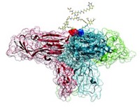 Serving the chemical, life science, and laboratory worlds