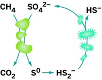 Serving the chemical, life science, and laboratory worlds