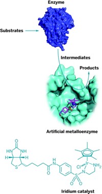 Serving the chemical, life science, and laboratory worlds