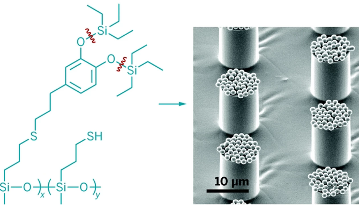 Bioinspired Polymers Get Sticky On Demand