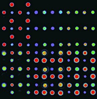 Serving the chemical, life science, and laboratory worlds