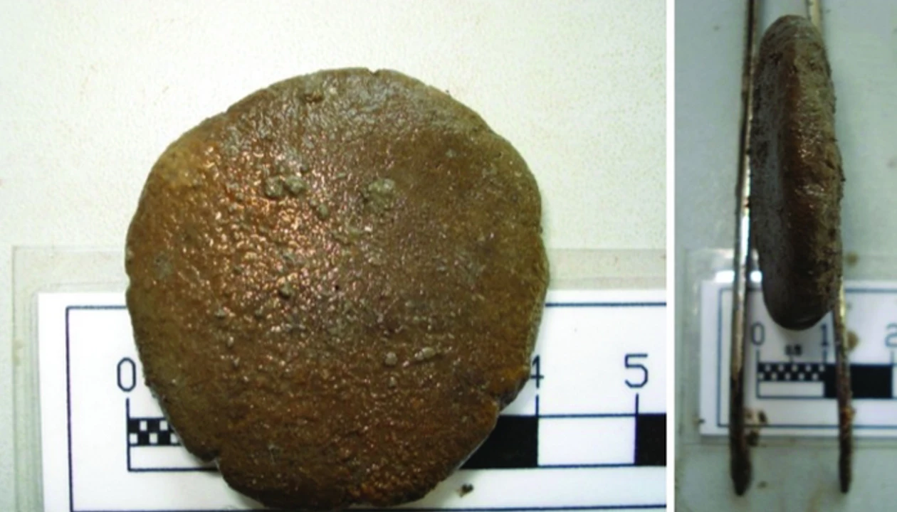 Ancient Roman Medicine Analyzed