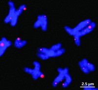 Serving the chemical, life science, and laboratory worlds