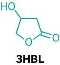 Serving the chemical, life science, and laboratory worlds