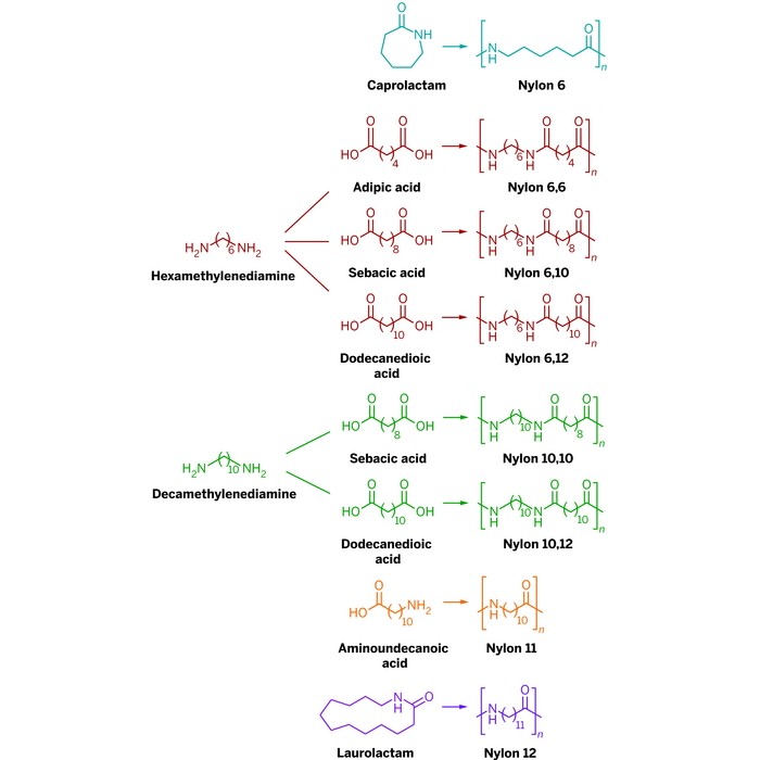 Structure of Nylon 6,6. Nylon 6,6 is a polyamide, a polymer derived