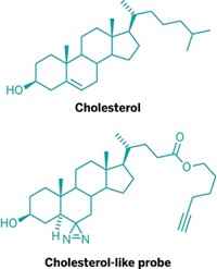 Serving the chemical, life science, and laboratory worlds