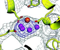 Serving the chemical, life science, and laboratory worlds