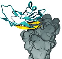 Serving the chemical, life science, and laboratory worlds