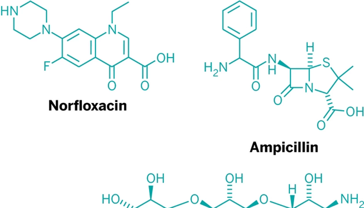 Antibiotics Don’t Kill With Reactive Oxygen Species
