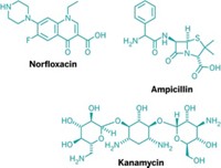 Serving the chemical, life science, and laboratory worlds