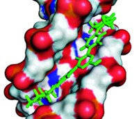 Serving the chemical, life science, and laboratory worlds