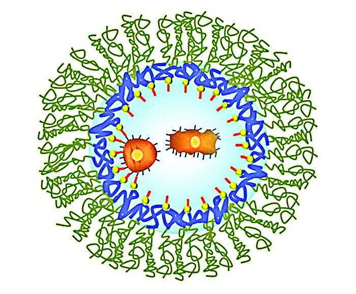 Training-Immune-Cells