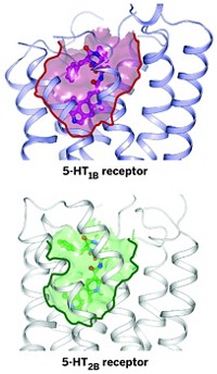 Serving the chemical, life science, and laboratory worlds