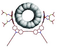 Serving the chemical, life science, and laboratory worlds