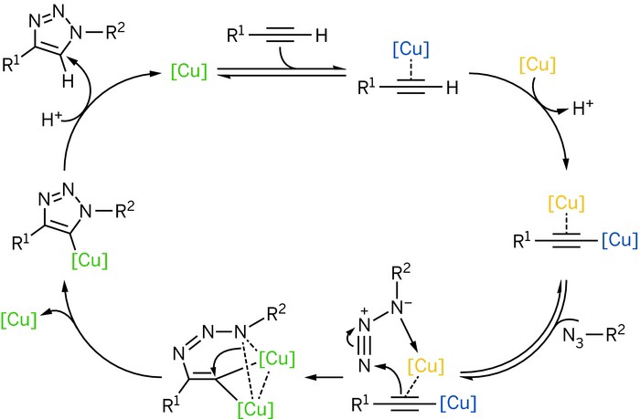 Click chemistry - Scripps Research Magazine