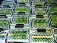 Serving the chemical, life science, and laboratory worlds