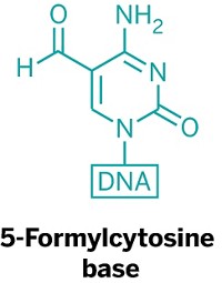 Serving the chemical, life science, and laboratory worlds