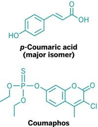 Serving the chemical, life science, and laboratory worlds