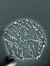 Serving the chemical, life science, and laboratory worlds