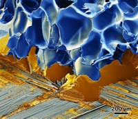 Serving the chemical, life science, and laboratory worlds