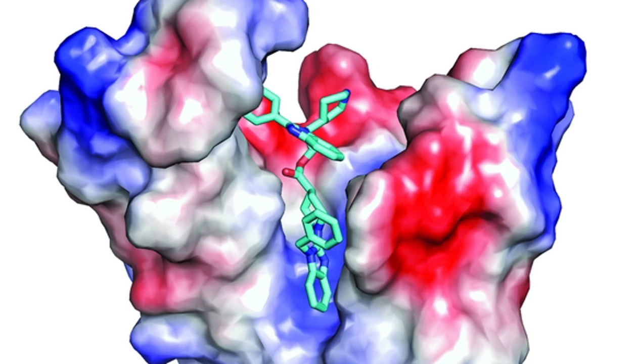 New Strategy For Inhibiting Ras Oncogene
