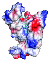 Serving the chemical, life science, and laboratory worlds