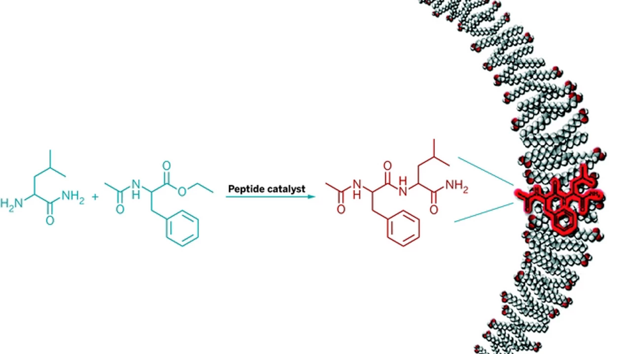 Lab-Made Protocells Show Hints Of Evolution