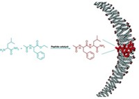 Serving the chemical, life science, and laboratory worlds