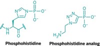 Serving the chemical, life science, and laboratory worlds