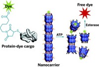 Serving the chemical, life science, and laboratory worlds