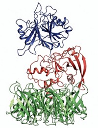 Serving the chemical, life science, and laboratory worlds