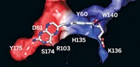 Serving the chemical, life science, and laboratory worlds