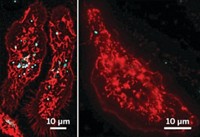 Serving the chemical, life science, and laboratory worlds