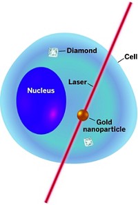 Serving the chemical, life science, and laboratory worlds