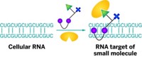 Serving the chemical, life science, and laboratory worlds