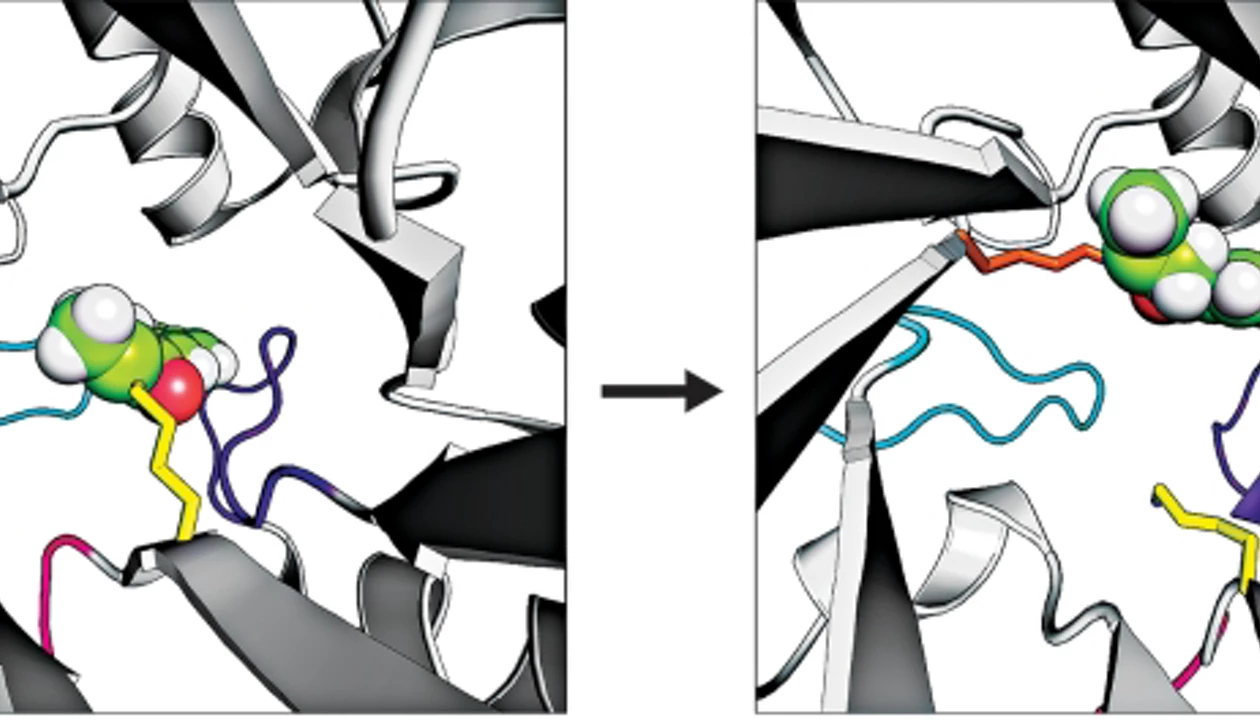 Enzyme By Design