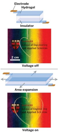 Serving the chemical, life science, and laboratory worlds